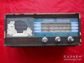 音像制品的多面世界 從音頻唱機到收藏珍品